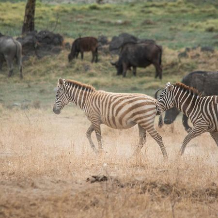 Sarova Lion Hill Game Lodge ناكورو المظهر الخارجي الصورة
