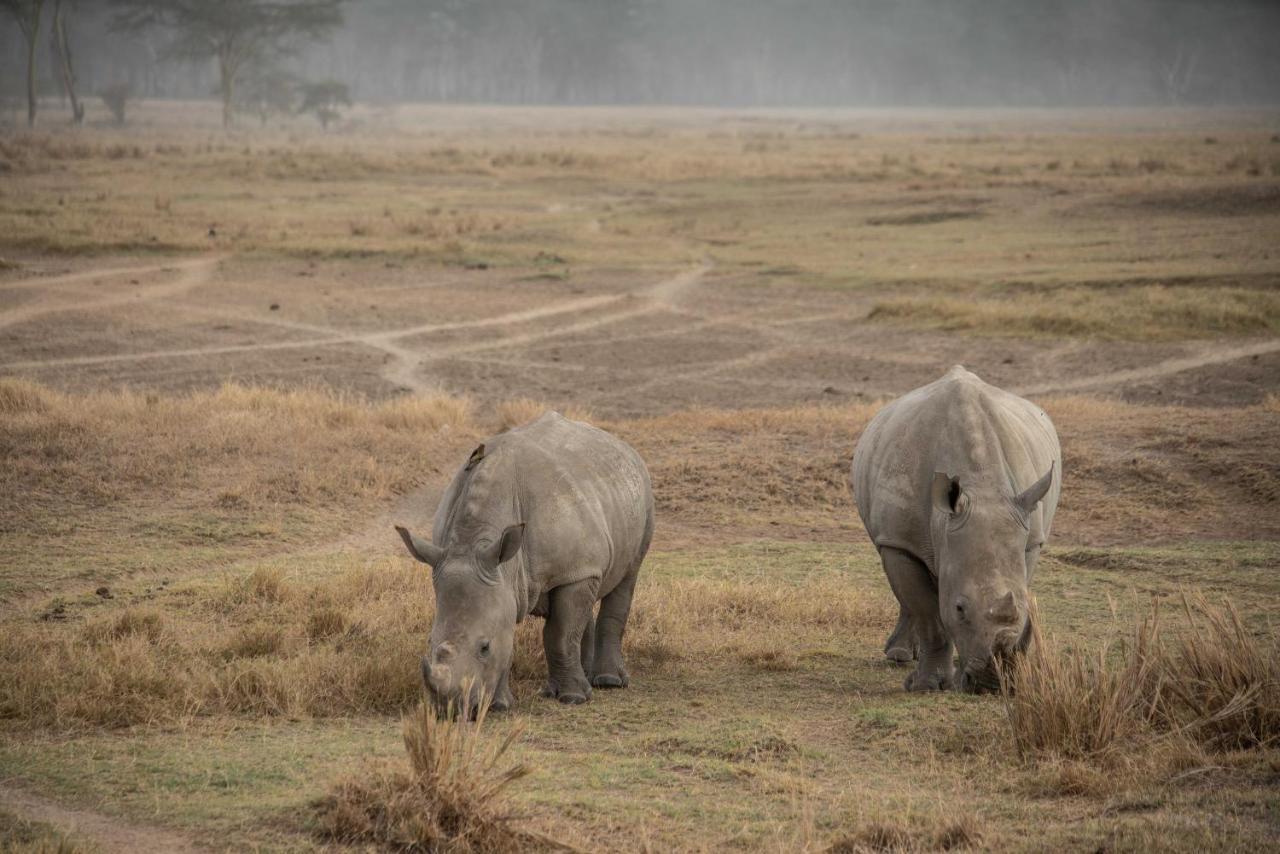 Sarova Lion Hill Game Lodge ناكورو المظهر الخارجي الصورة